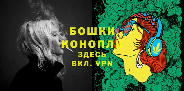 шишки Краснотурьинск