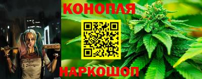 СК Заводоуковск