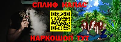 СК Заводоуковск
