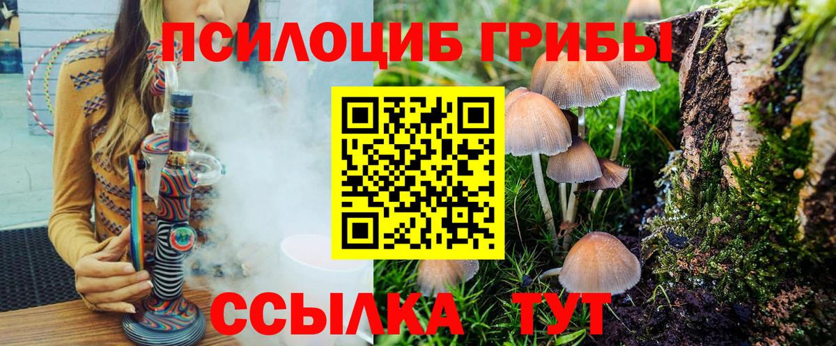 Карачаевск  Галлюциногенные грибы Psilocybe  Вход с VPN  Галлюциногенные грибы GOLDEN TEACHER 