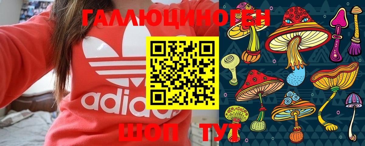 Псилоцибиновые грибы MAGIC MUSHROOMS Карачаевск